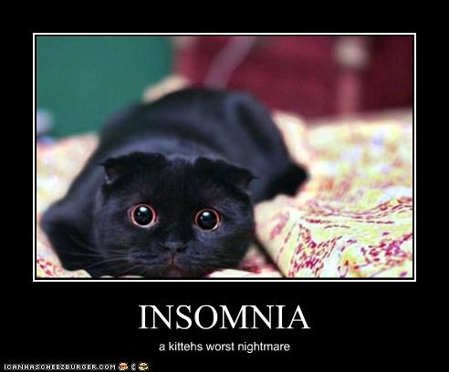 insomnia-a-kittys-worst-nightmare.jpg